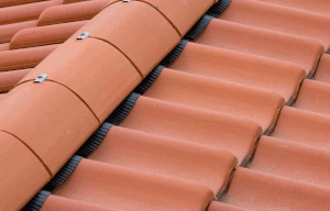 Dry Verge / Ridge System