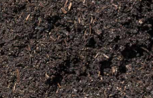 Soil & Compost