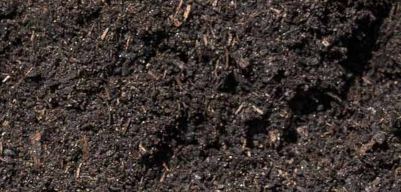 Soil & Compost