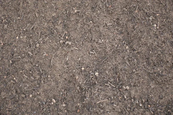 Bagged Premier Double Screened Top Soil Compost Enhanced Peat Free