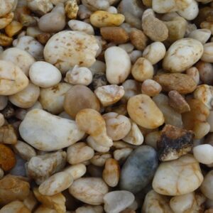 Apricot 20mm