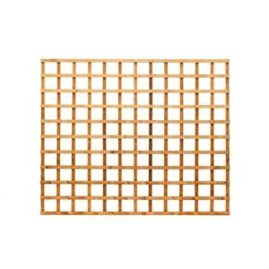 Heavy Duty 6' X 5' Trellis