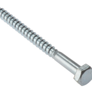 Coach Screw Hex Head M8 X 100mm Bag 10